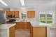 1817 Paddock, Grayslake, IL 60030