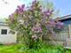 17834 Escanaba, Lansing, IL 60438