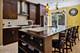 239 W Goethe, Chicago, IL 60610