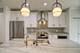 4217 W Harrington, Chicago, IL 60646