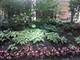 1516 Hinman Unit 703, Evanston, IL 60201