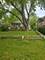 655 W Lorraine, Elmhurst, IL 60126