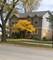 707 N Prospect Manor, Mount Prospect, IL 60056