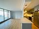 300 N State Unit 3626, Chicago, IL 60654