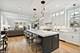 1347 W Fletcher, Chicago, IL 60657