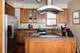 1437 W Olive Unit 2, Chicago, IL 60660