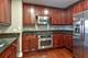 55 E Erie Unit 1906, Chicago, IL 60611