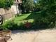 7429 W Ainslie, Harwood Heights, IL 60706