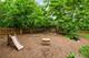 29W228 Helen, West Chicago, IL 60185