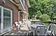 547 Webford, Des Plaines, IL 60016