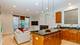 860 N Paulina Unit 2, Chicago, IL 60622