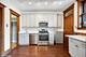 817 W George Unit 1W, Chicago, IL 60657