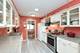 1119 Blanchard, Downers Grove, IL 60516