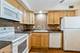 960 S River Unit 308, Des Plaines, IL 60016