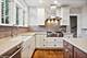510 N Euclid, Oak Park, IL 60302