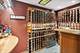 510 N Euclid, Oak Park, IL 60302