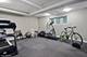 510 N Euclid, Oak Park, IL 60302