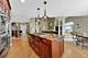 13241 Wood Duck, Plainfield, IL 60585