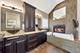 13241 Wood Duck, Plainfield, IL 60585