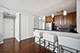 1000 N Lake Shore Unit 1603, Chicago, IL 60611