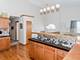 6976 Bellagio, Tinley Park, IL 60477