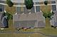 8254 Auburn, Frankfort, IL 60423