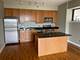 41 E 8th Unit 1304, Chicago, IL 60605