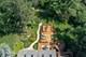 4108 Nelson, Woodridge, IL 60517