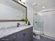 249 W Goethe, Chicago, IL 60610