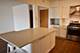 650 S Des Plaines River Unit 2-502, Des Plaines, IL 60016