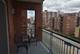 650 S Des Plaines River Unit 2-502, Des Plaines, IL 60016