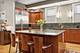 2138 W Schiller, Chicago, IL 60622
