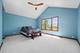 21337 Windy Hill, Frankfort, IL 60423