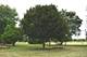 23433 W Link, Plainfield, IL 60586