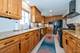33 W Beech, Schaumburg, IL 60193
