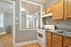 419 Wisconsin Unit 1E, Oak Park, IL 60302