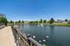 1453 W Ludington, Romeoville, IL 60446