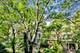 1802 S State Unit 202, Chicago, IL 60616