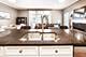 1123 W Grace Unit 1E, Chicago, IL 60613