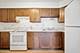 703 Central Unit A8, Mount Prospect, IL 60056
