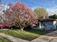 913 S Fletcher, Wheeling, IL 60090