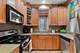 849 W Buckingham Unit B, Chicago, IL 60657