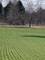 9255 W Steger, Frankfort, IL 60423
