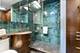 2626 N Lakeview Unit 1802-1803, Chicago, IL 60614