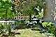 644 Lake Unit 1W, Oak Park, IL 60301