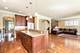 214 N Home, Park Ridge, IL 60068