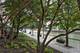 501 N Clinton Unit 2503, Chicago, IL 60654