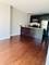 1464 S Michigan Unit 203, Chicago, IL 60605