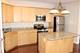 14 Meacham, Park Ridge, IL 60068