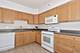 395 Graceland Unit 508, Des Plaines, IL 60016